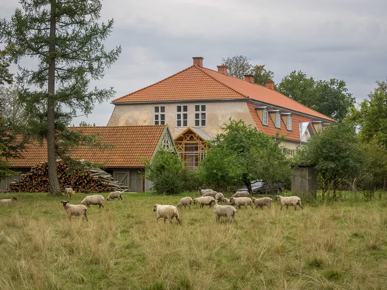 Raksta foto