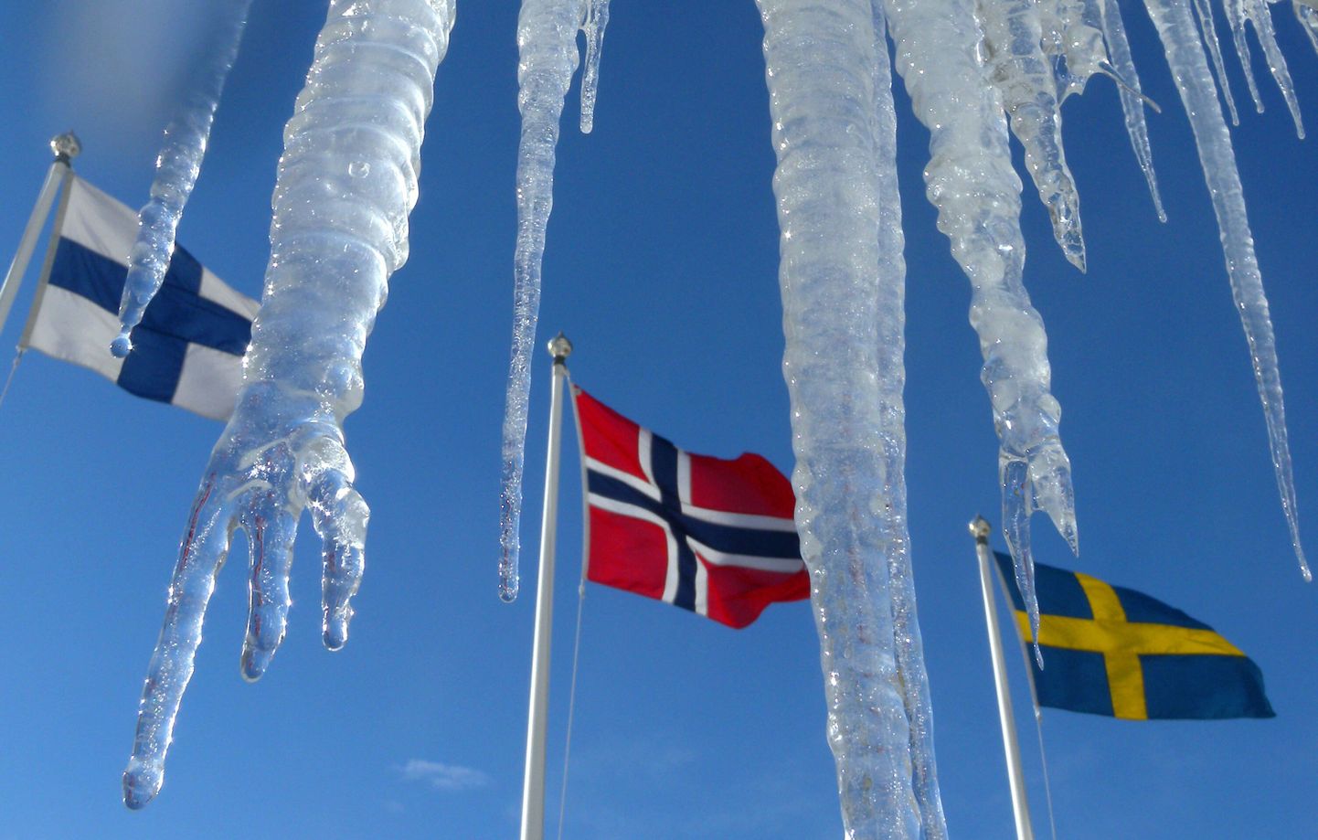В центре - флаг Норвегии.