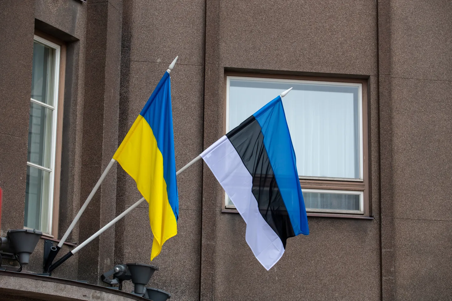 Флаги Эстонии и Украины.