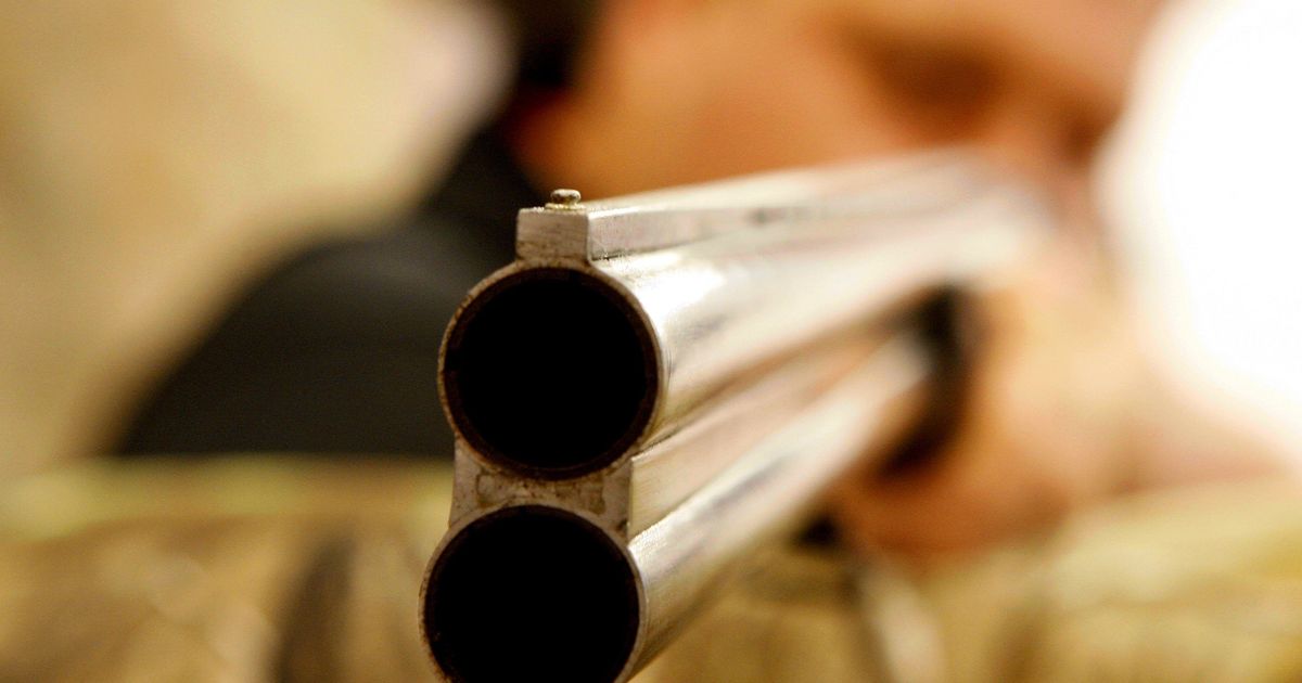 Дуло ружья. Дуло оружия. Иж 54 дульные сужения. Дульный срез внутри иж 27. Дуло револьвера.