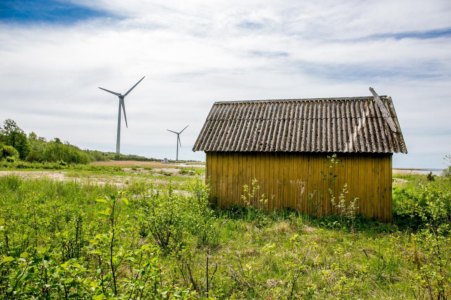 Enefit Green soovib Saarde valda ehitada 600hektarise tuulepargi.