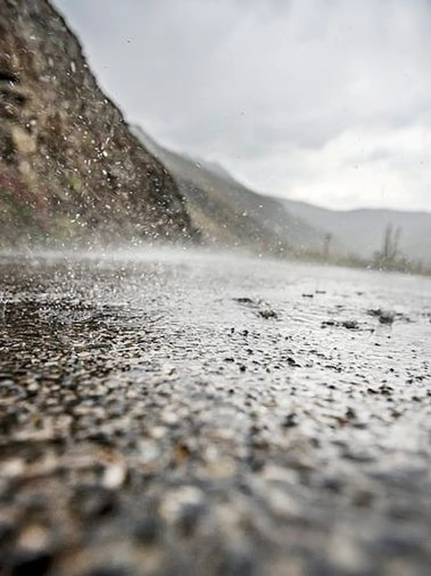 Artikli foto