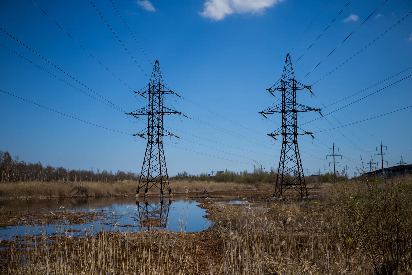 Фото статьи