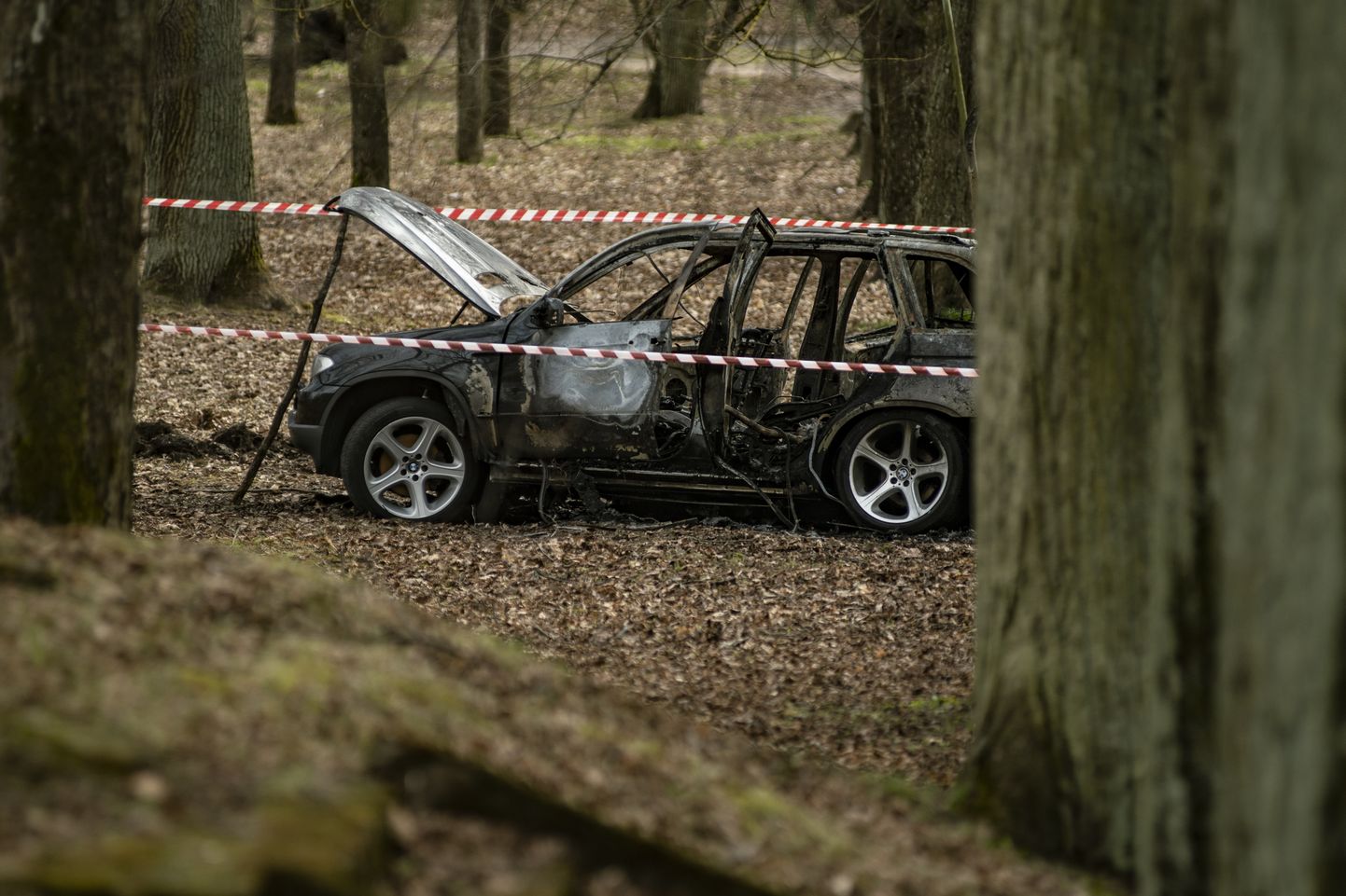 Сгоревшая в Межапарке машина, использовавшаяся при убийстве Романа Беззубова