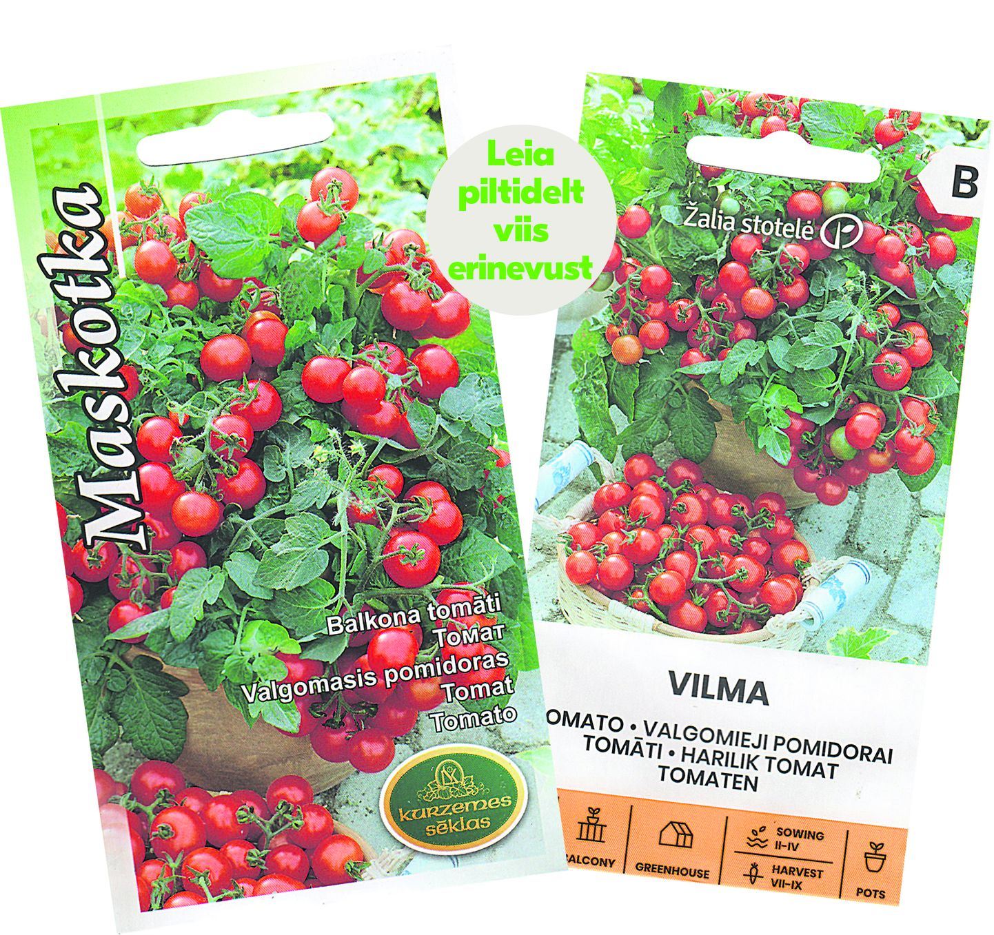 Kahe eri tootja erineva tomatisordi pakendil on täpselt sama pilt.