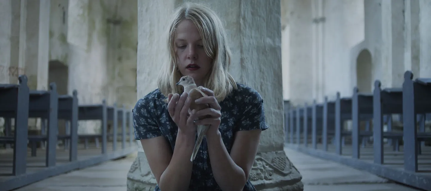 Sulev Keeduse film «Mehetapja/Süütu/Vari»