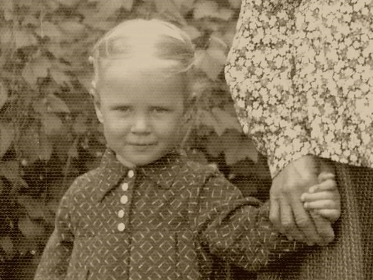 Raksta foto