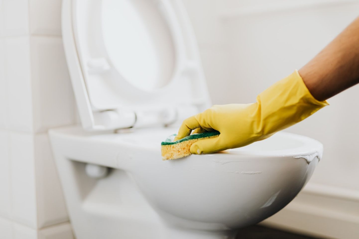 Millal viimati WC-poti loputuskasti puhastasid?
