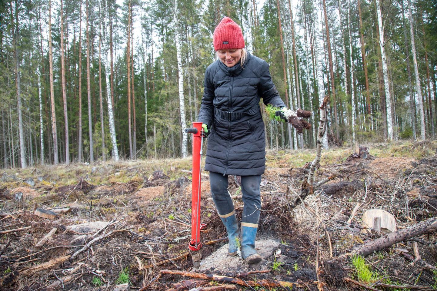 Teiste ametite seas leiavad Pärnumaal tööd metsaistutaja ja metsatööline.