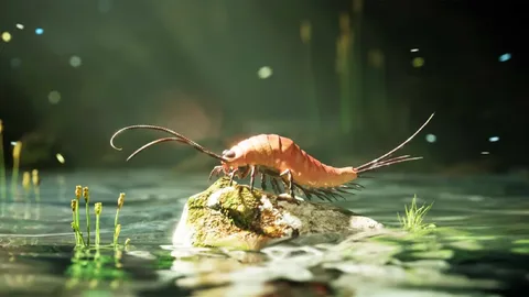 Scientists discover a 24-legged insect that had been mistaken for a crustacean