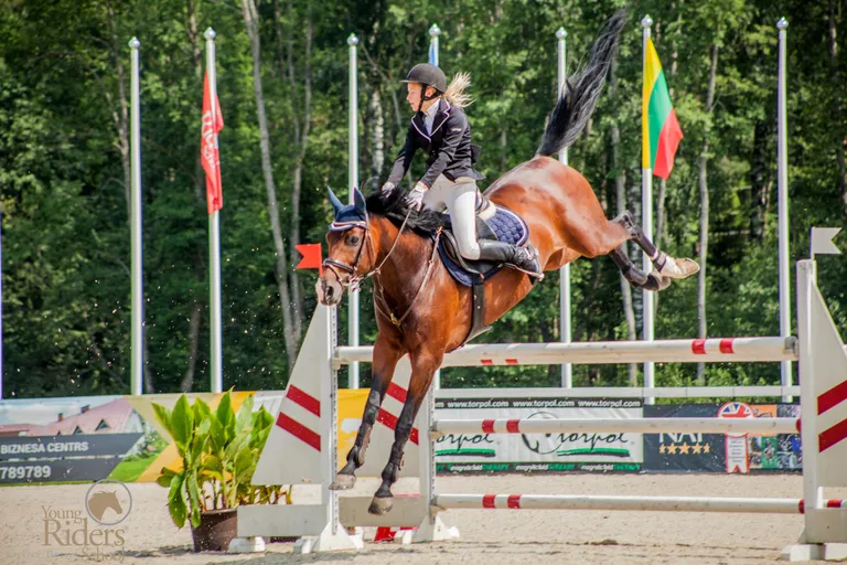 Raksta foto
