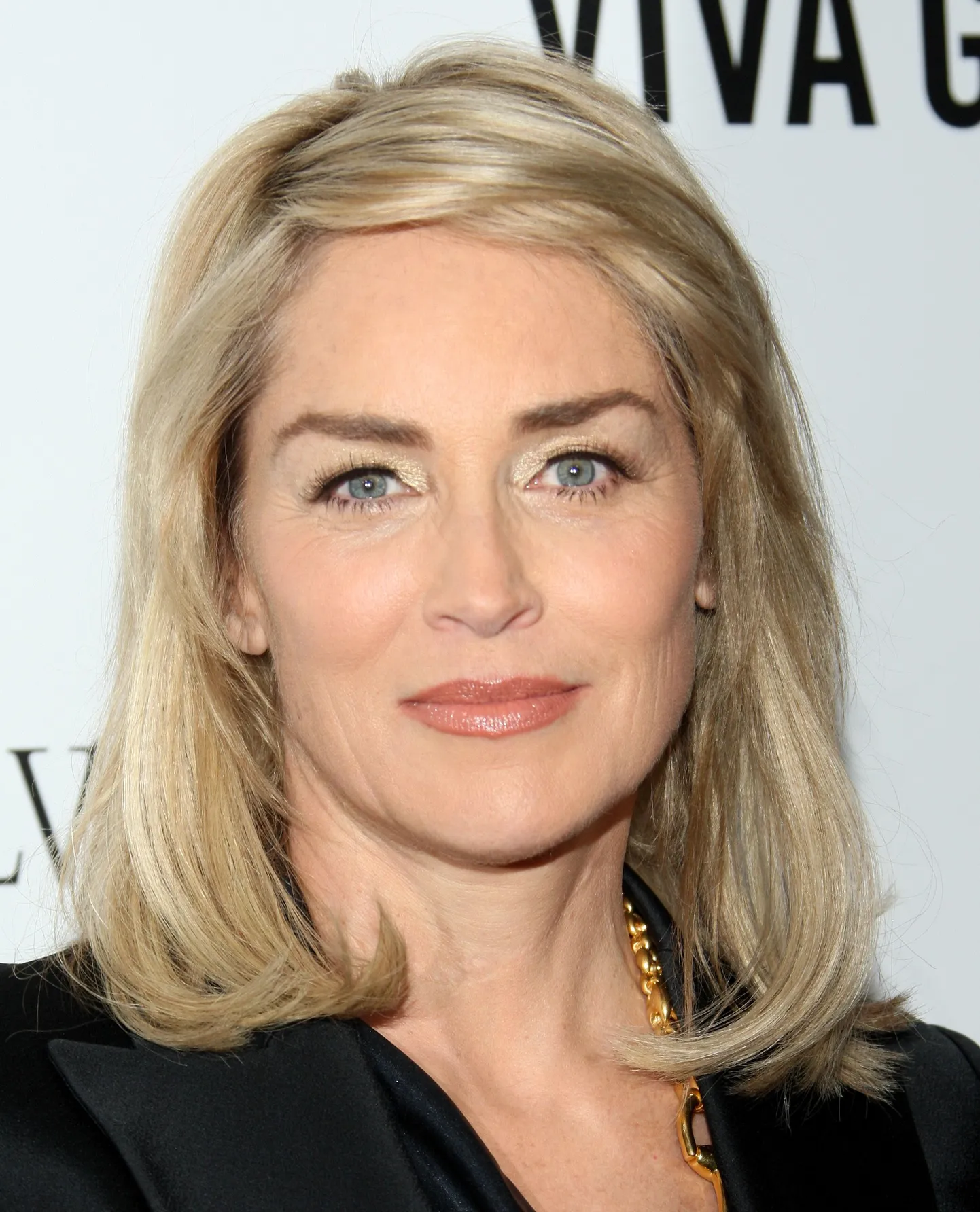 Sharon Stone 2013. aasta detsembris