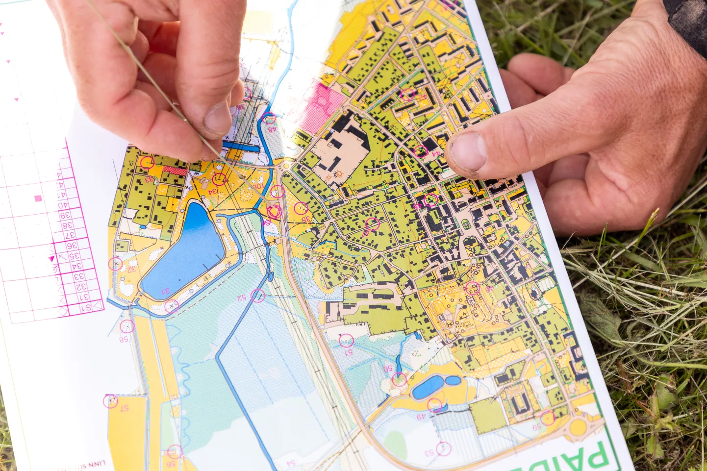 Orienteerumine