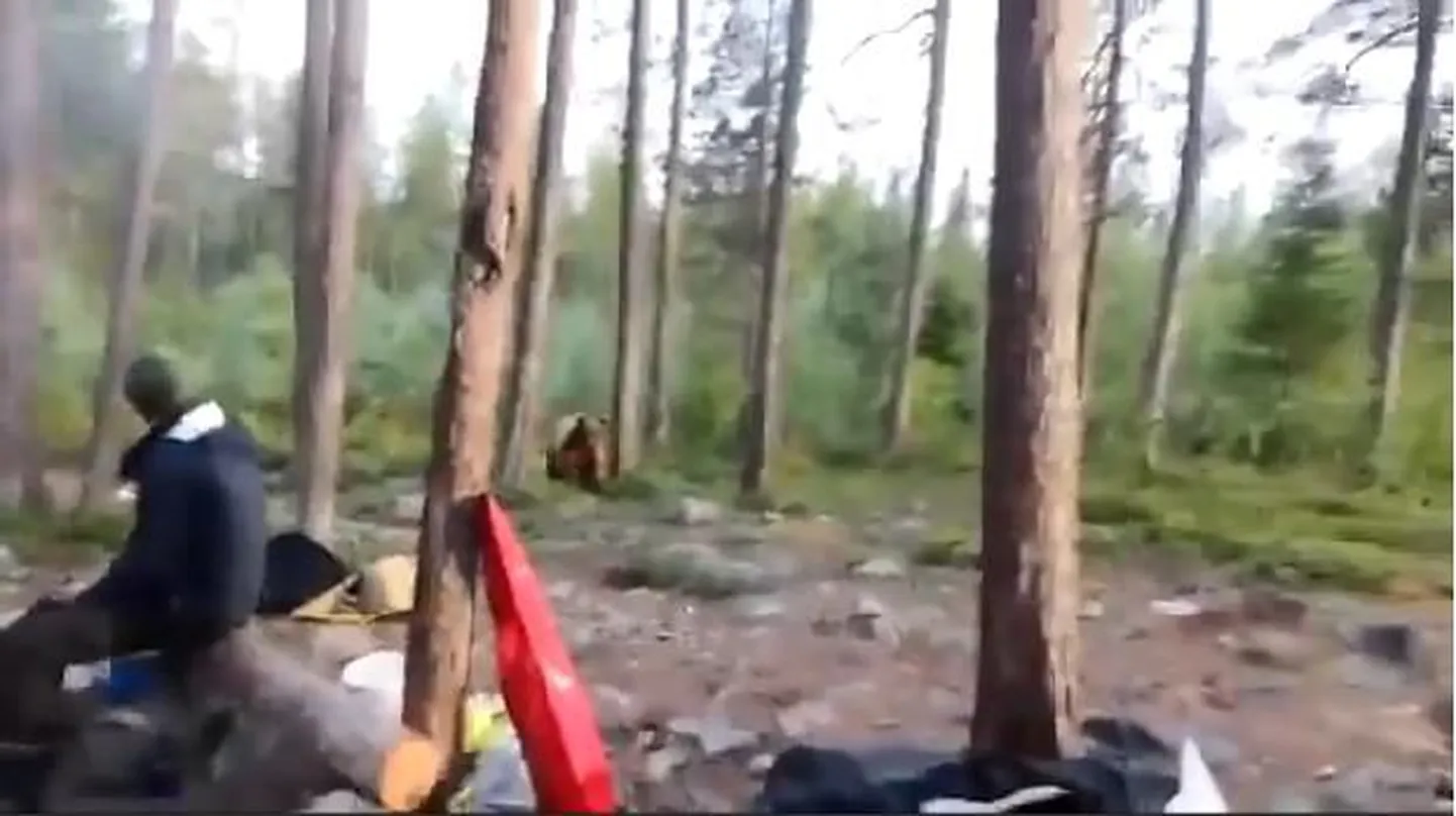 Karu seltskonna juures.