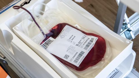 Нужны доноры: запасы одной группы крови находятся в критическом состоянии