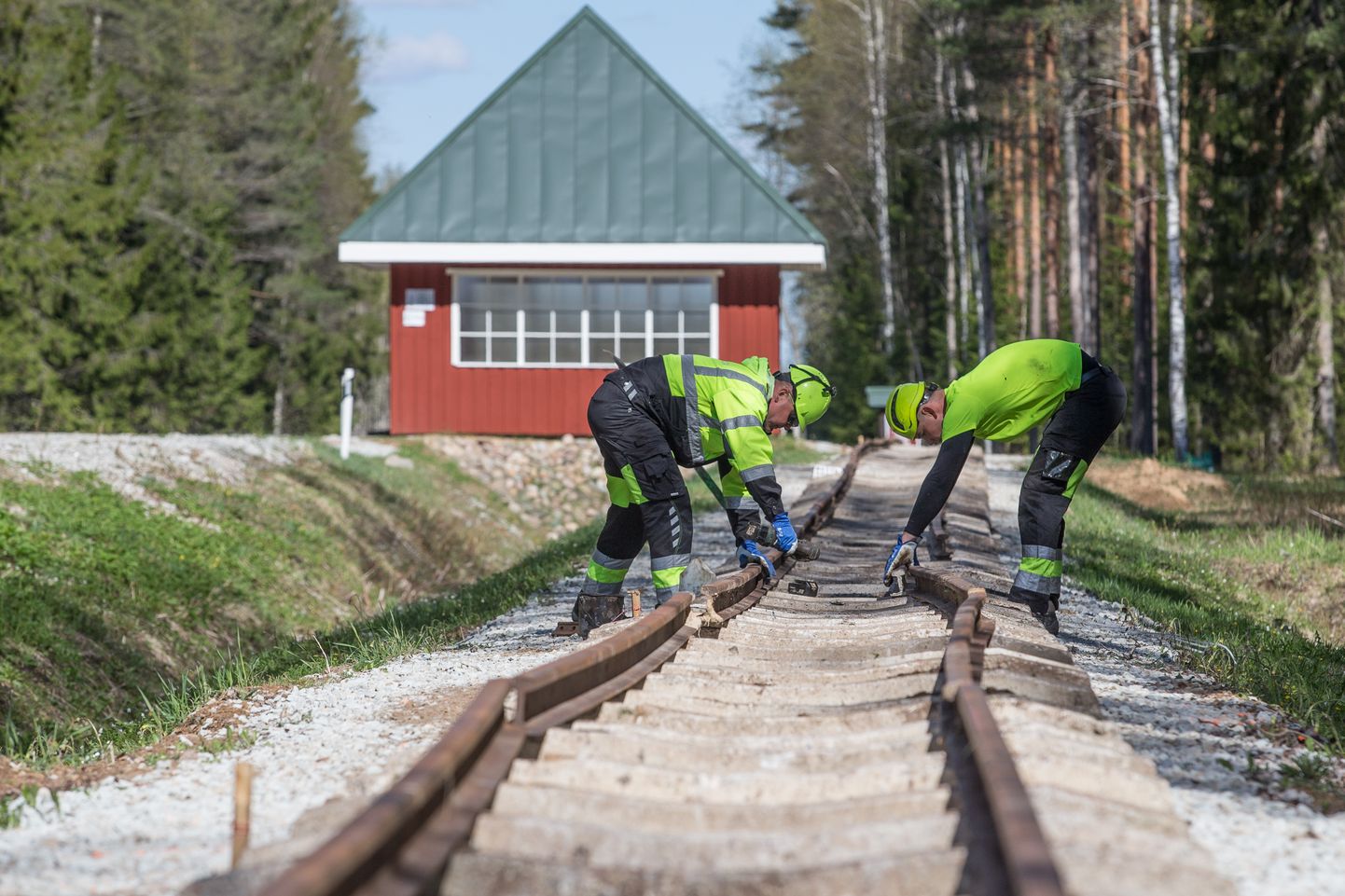 Если современное железнодорожное строительство опирается во многом на техническую мощь, то при строительстве узкоколейной железной дороги применяется много ручного труда.