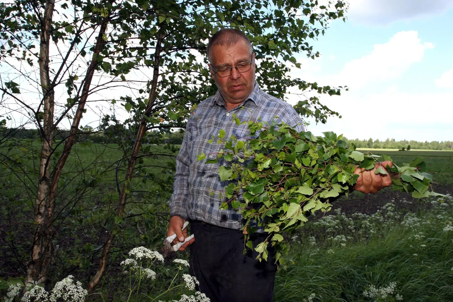 Tõnu Ulla õpetab, et  vihta pügada ei tohi, muidu lähevad otsad teravaks.