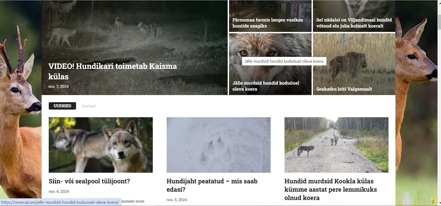Jahimeeste seltsi veebileht on tulvil lugusid huntide röövretkede kohta, enamik neist lõpeb etteheitega, et ei anta hundijahilube.