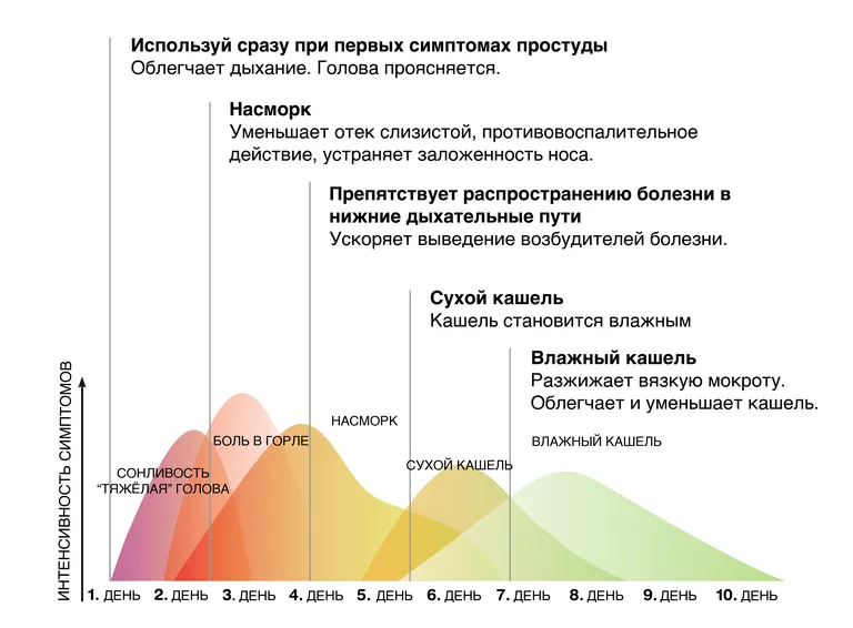 Фото статьи