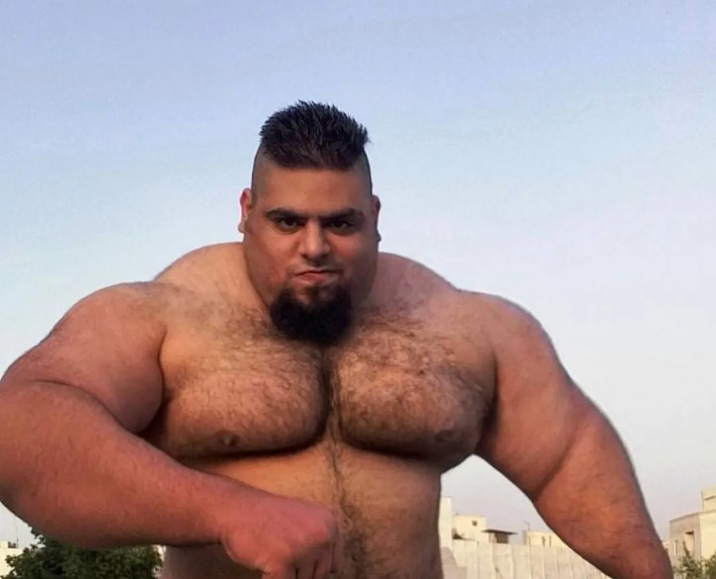 Sajad Grahibi