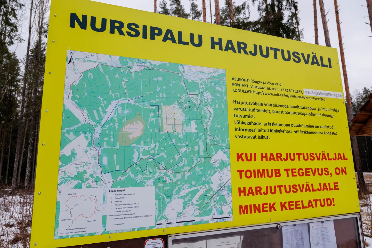 Nursipalu