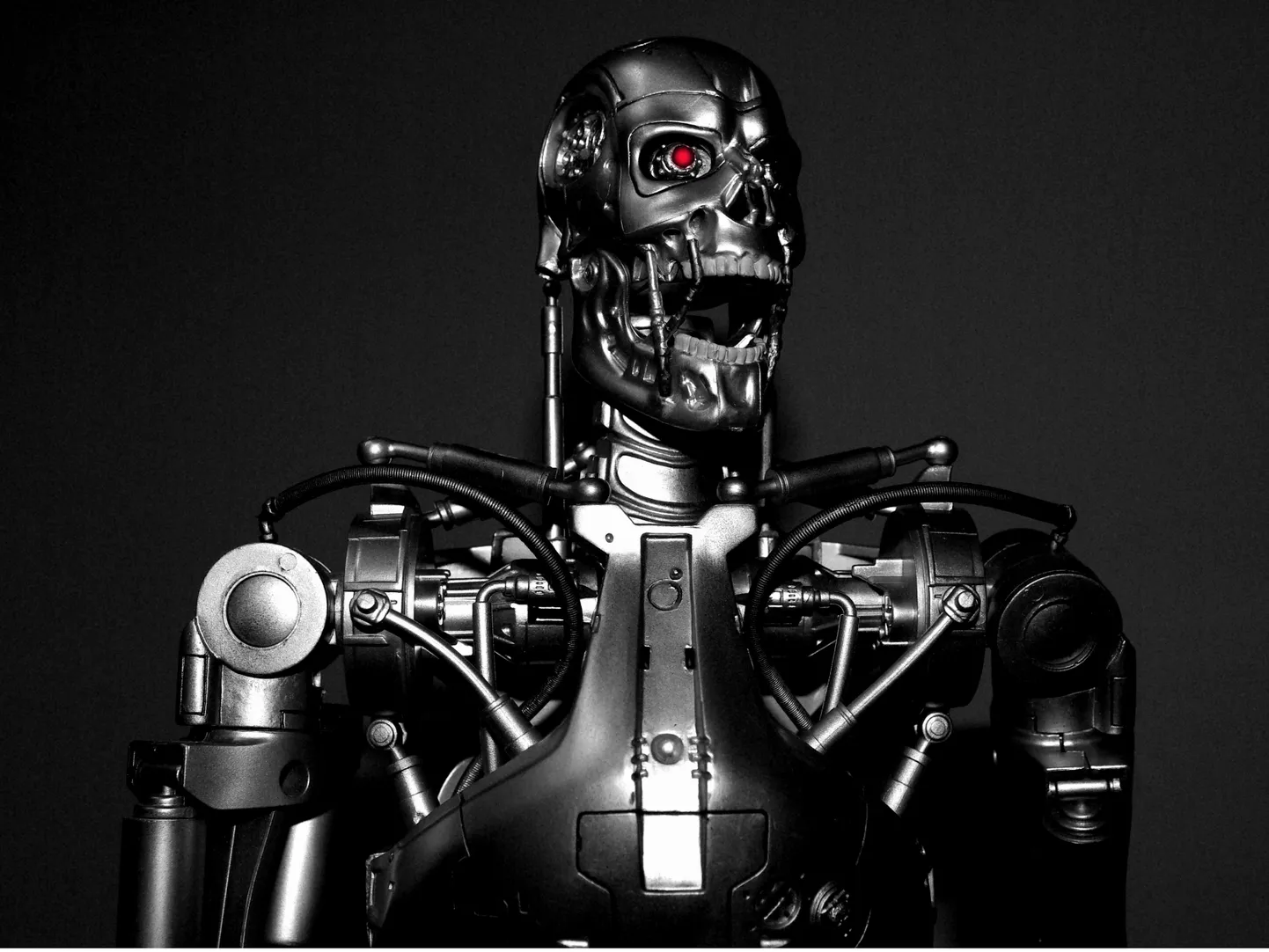 Inimesi hävitav küborg filmist «Terminaator».