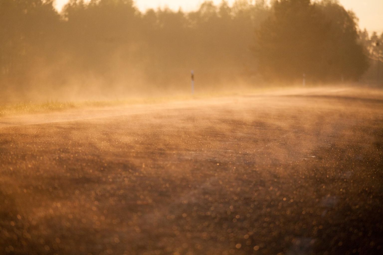 Maapinna kohale tekkiv udu võib vahel sarnaneda põlengusuitsuga. Foto on illustreeriv.
