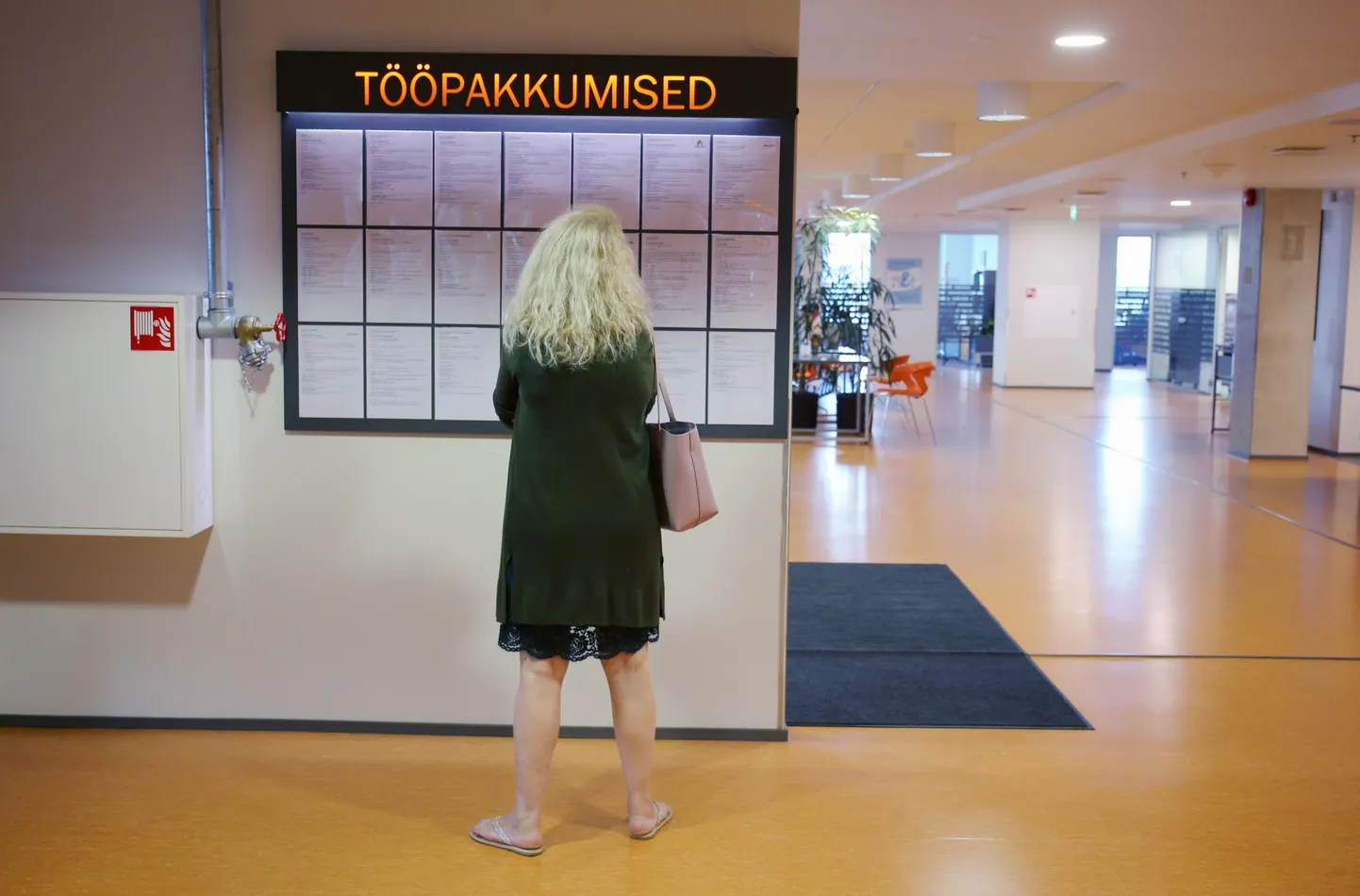 Töötukassa vahendab iganädalaselt hulgaliselt vakantseid töökohti.