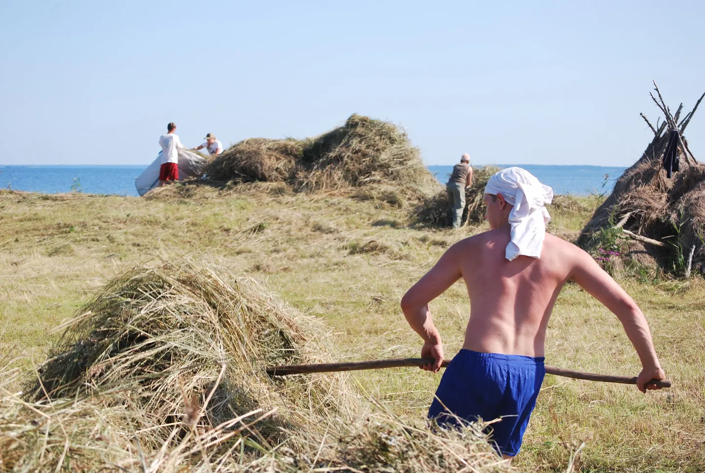 Участники толоки Эстонского фонда природы на сенокосе летом прошлого года на острове Кумари.