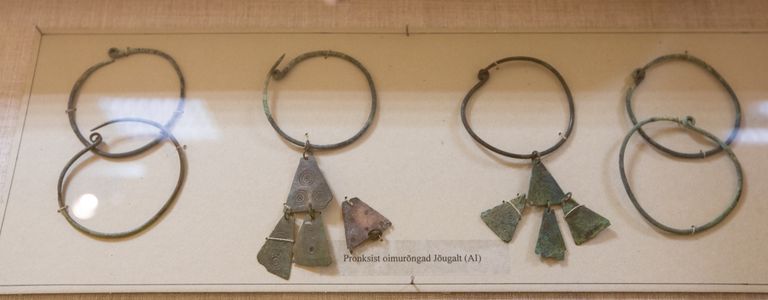 Бронзовые височные кольца, вероятно, использовались как украшения, а также для завязывания платка или волос на затылке.