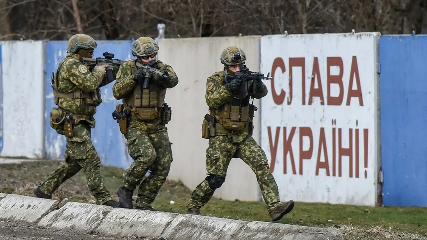 Фото статьи