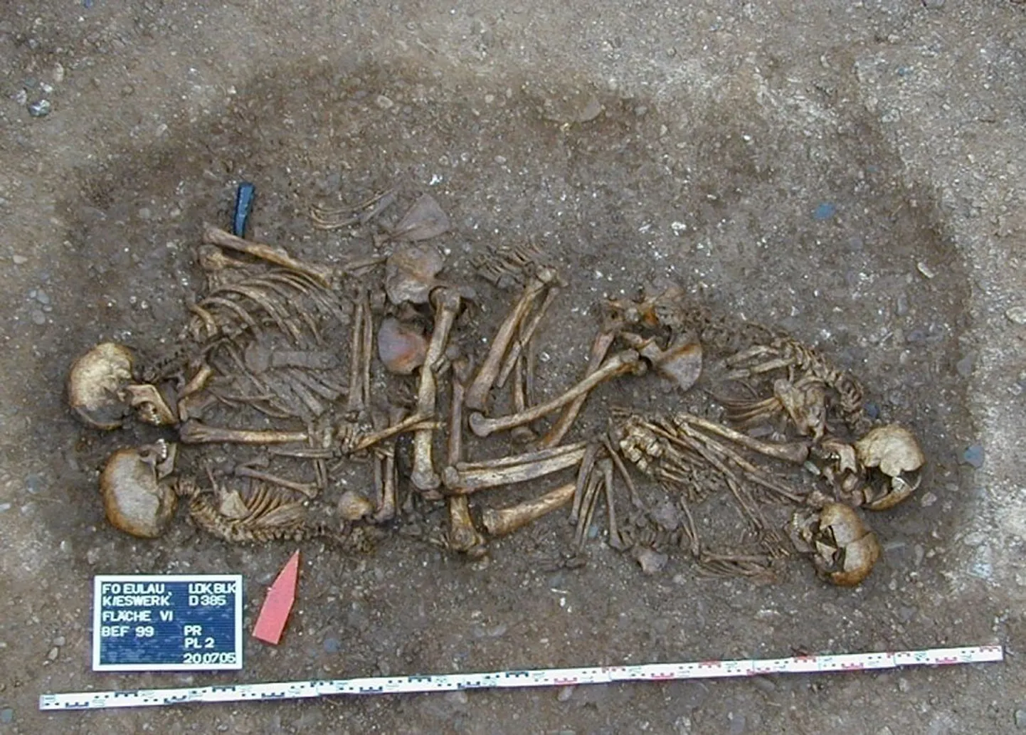 Saksamaalt Eulaust leitud 4600 aasta vanuste inimjäänuste puhul võib tegemist olla varajase tuumikperekonnaga. Isa, ema ja kaks last surid vägivaldsesse surma
