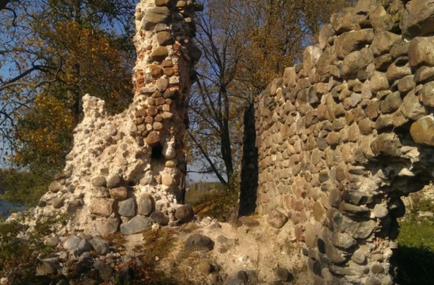 Raksta foto