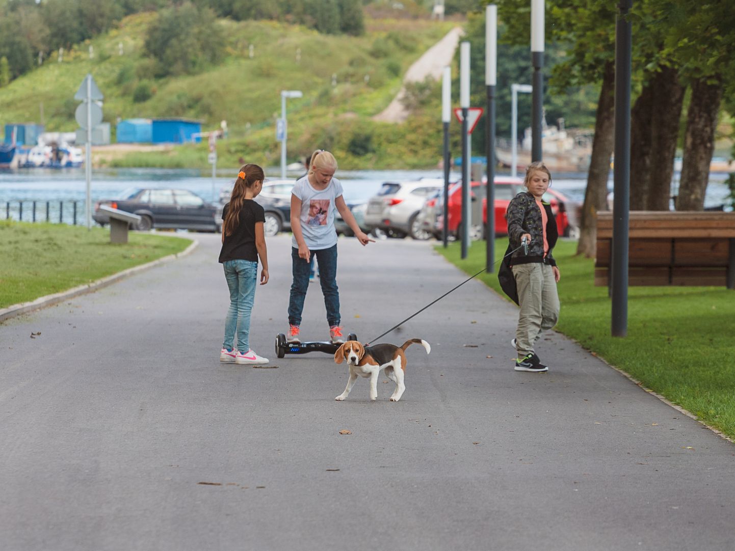Koeraga jalutamisel näiteks Narva promenaadil tuleb edaspidi järgida uusi, muu hulgas jalutusrihma pikkust puudutavaid nõudeid.