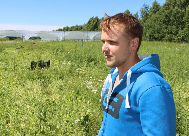"Põldhernest pole niimoodi kohe müümiseks mõtet kasvatada, seda inimesed ei osta," proovis Vent alguses sellegi omal nahal järele.