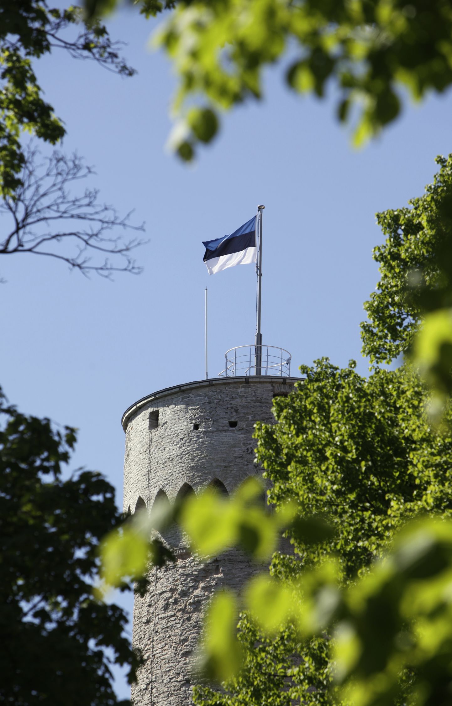 Eesti Lipp Pika Hermanni tornis Toompeal