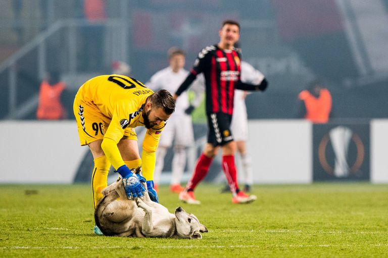 Koer noris Makedoonia klubi Vardar väravavahilt kõhu sügamise välja.