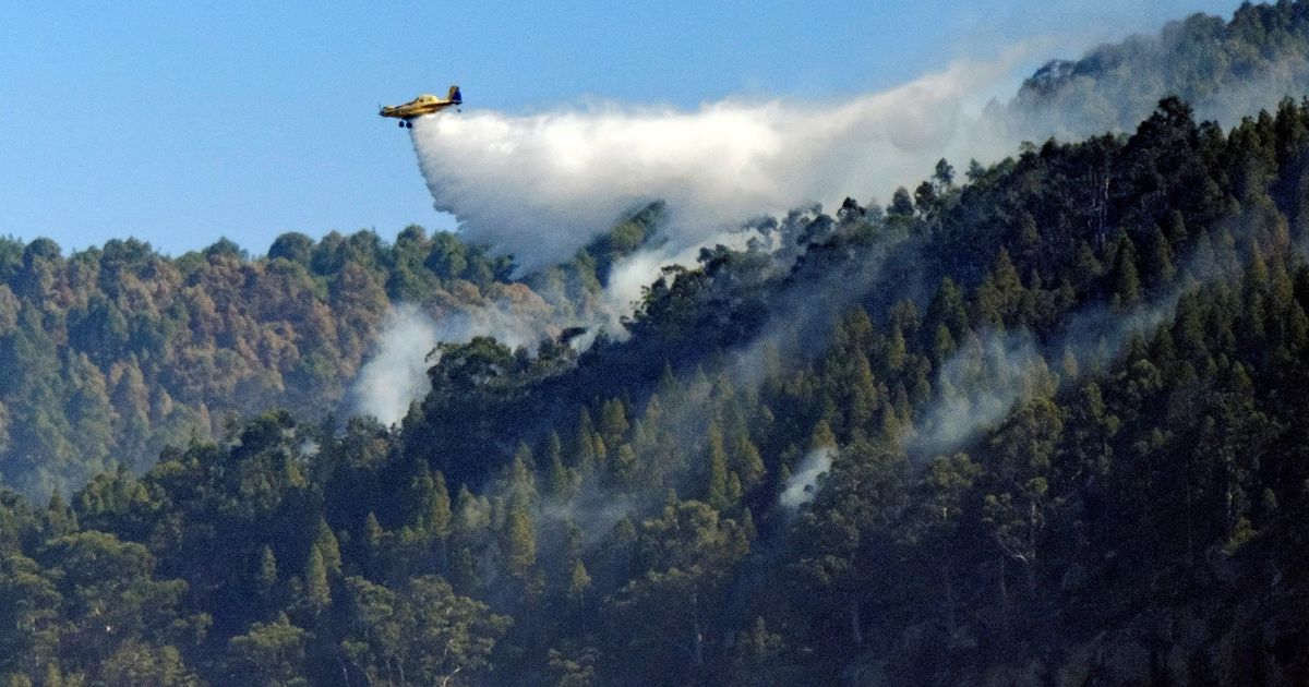 Kanaaride maastikupõleng saadi peaaegu kontrolli alla