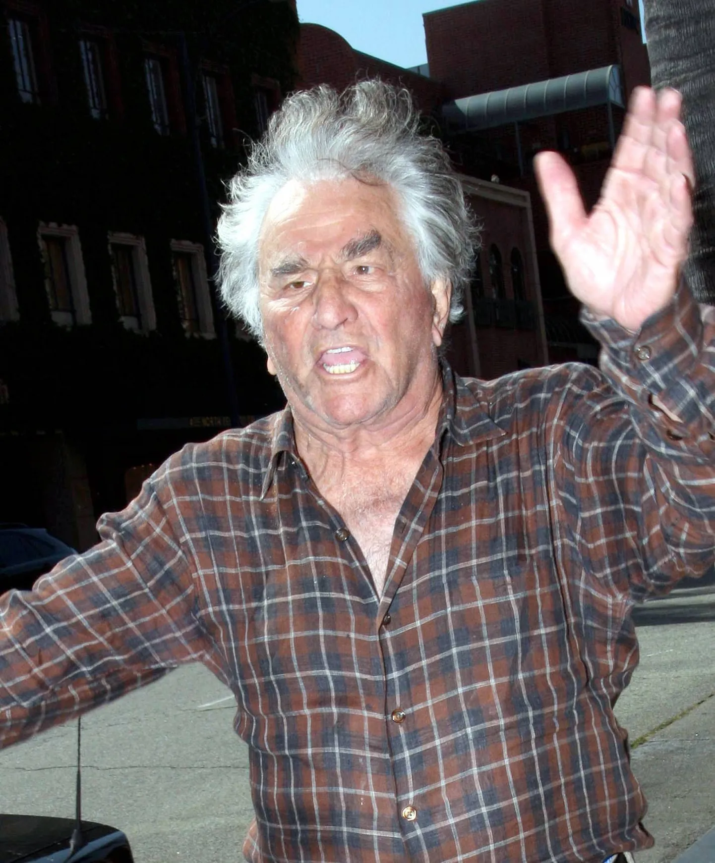 Peter Falk