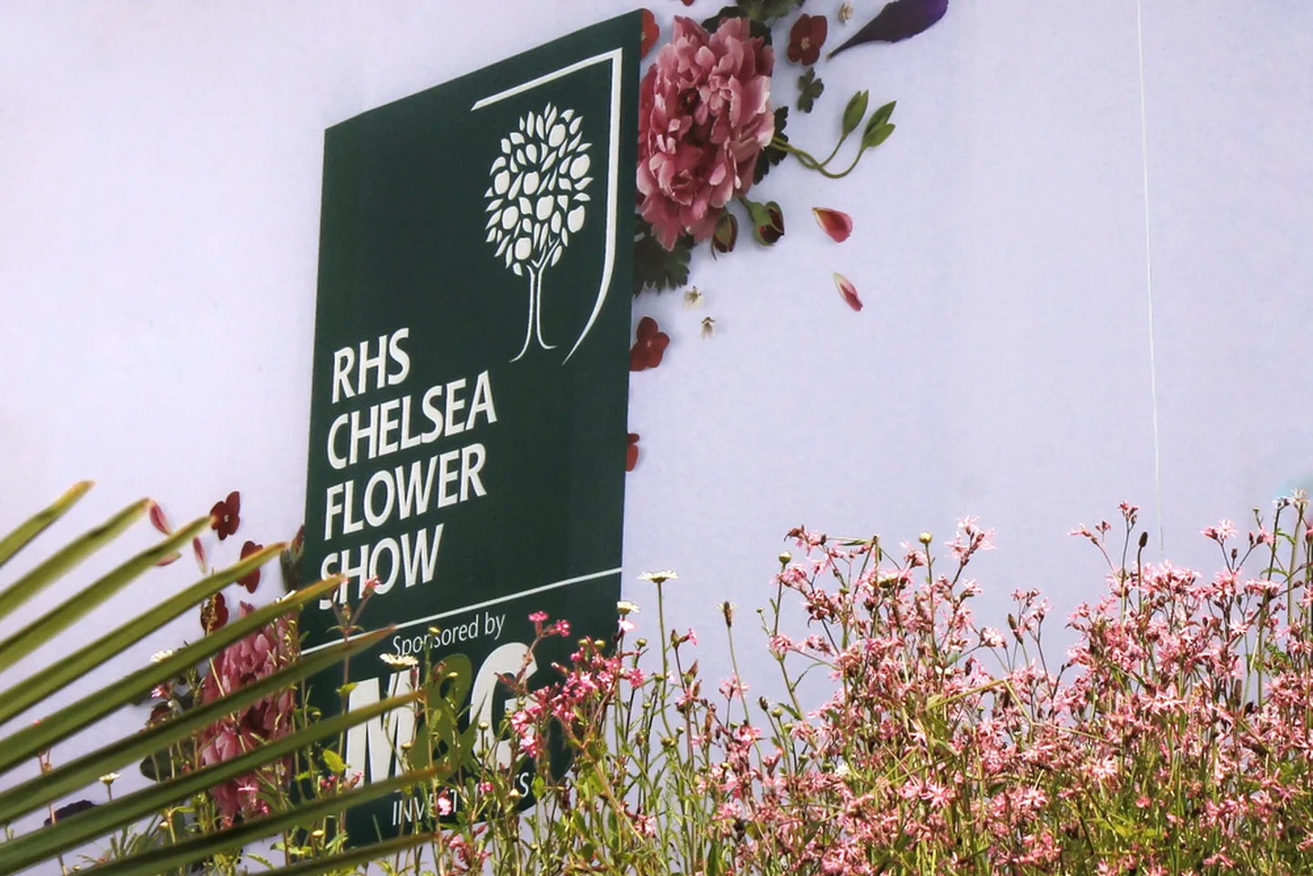 Chelsea Flower Show. Pilt on illustreeriv.