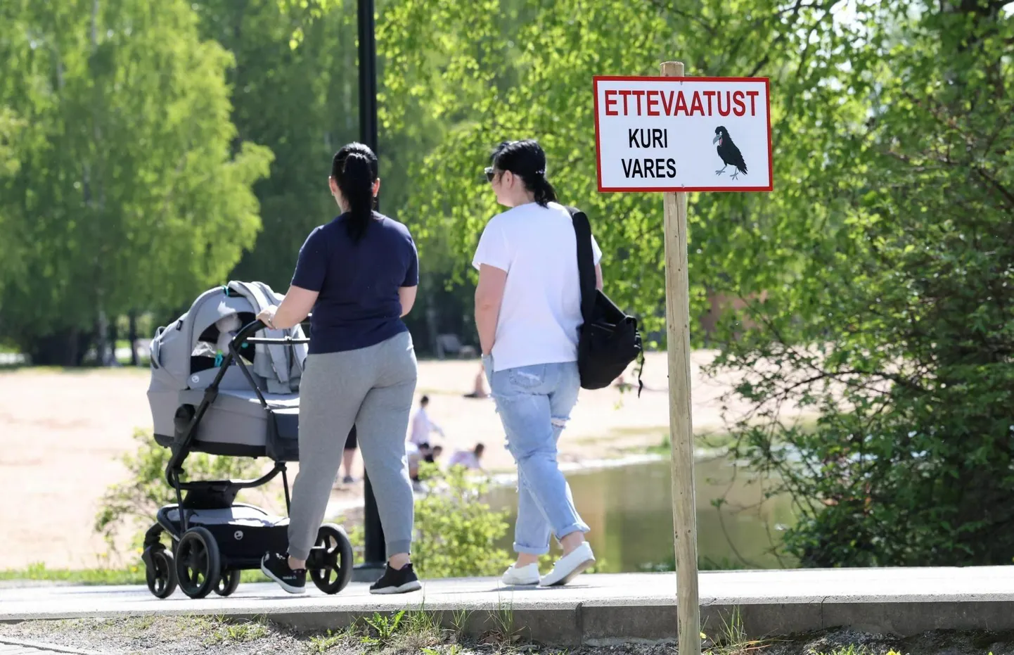 Linnaametnikud seadsid Anne kanali äärde sildi, mis hoiatab tartlasi kurja varese eest. 