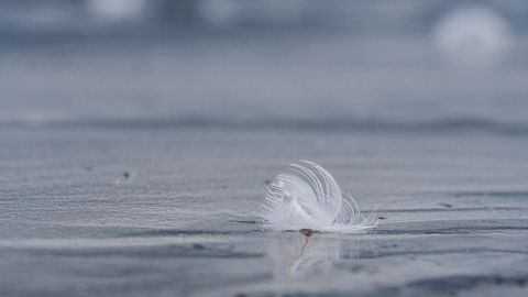 Laupäeval on ilm tuuline, vihmasadu levib saartelt itta
