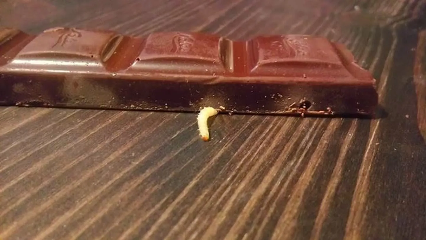 Kalevi 300-grammine tume šokolaad metspähklitega.