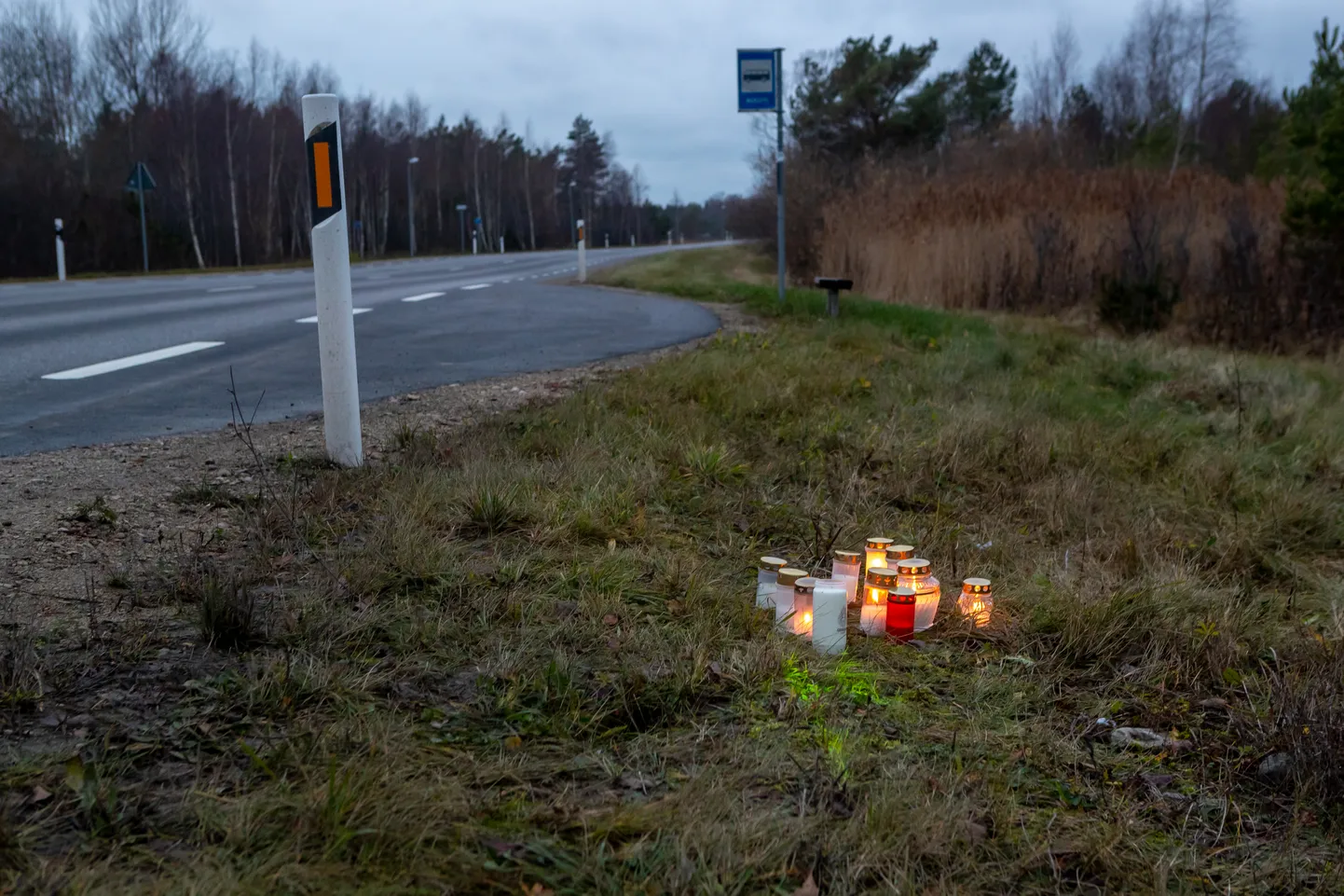 Politsei sai teate õnnetusest eelmise aasta 8. novembril kella poole kaheksa paiku. Kiirabi viis tüdruku haiglasse ning sealt edasi kopteriga Tallinna lastehaiglasse, kus ta meedikute pingutustest hoolimata suri.