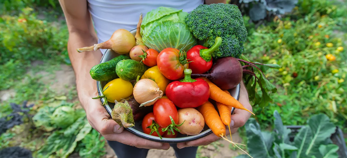 Продукты для гипертоников. Иллюстративное фото