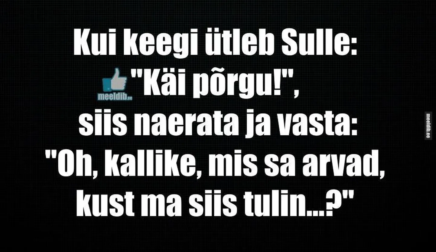 Artikli foto