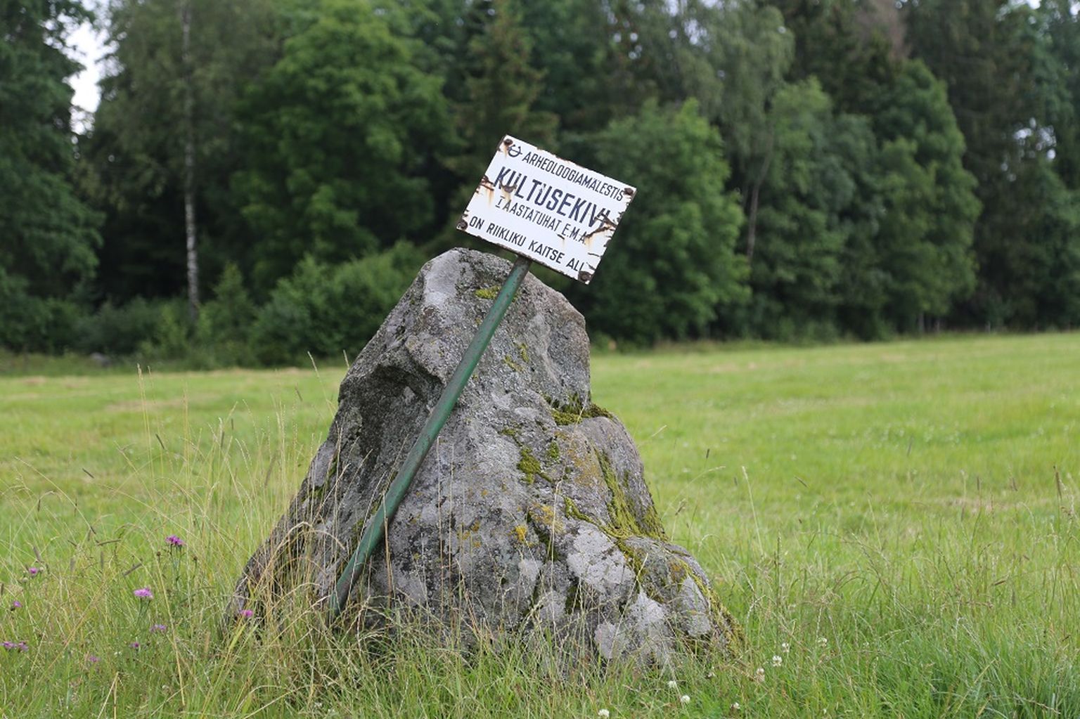 Ohvrikivi Kuningakivi Maidla hiiemäe lähedal.