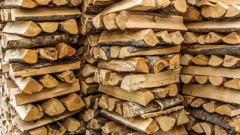 Стоимость дров взлетела до небес: продавцы считают, что цены могли бы быть еще выше