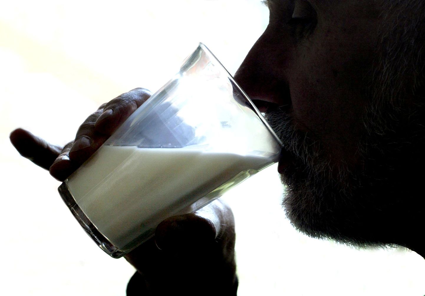 Mees piima joomas. Kahjuks ei joonud artikli peategelane piima küll tassist vaid otse pakendist.