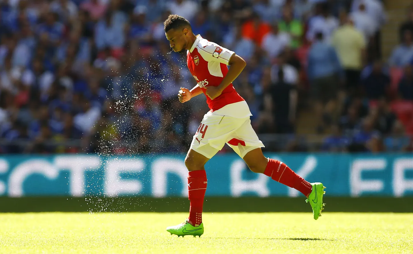 Francis Coquelin.